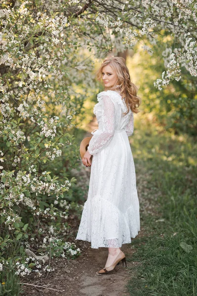 一个身穿白色花边裙 手里拿着草帽 手握着盛开的樱桃园的女孩正沿着小路走着 — 图库照片