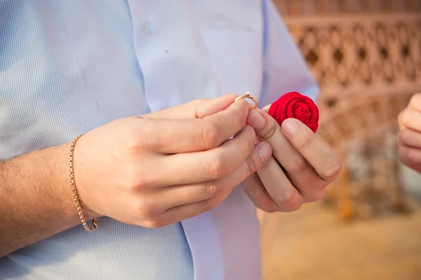 Zeiger mit Ringen 822. — Stockfoto