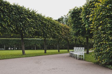 Catherine Park Tsarskoye Selo 1149.