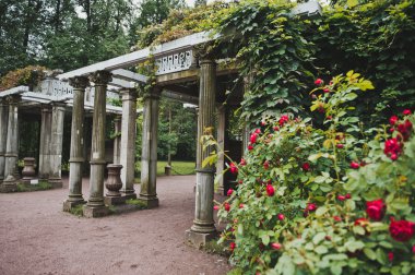 Catherine Park 1163 granit Teras.