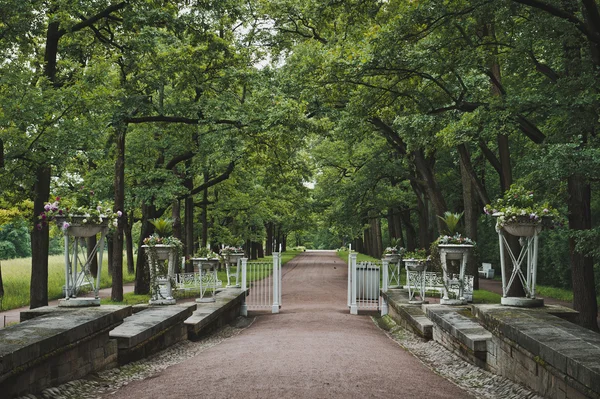 Catherine Park i Tsarskoje Selo 1145. — Stockfoto