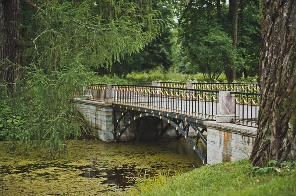 Le pont dans le parc Catherine 1169 . — Photo