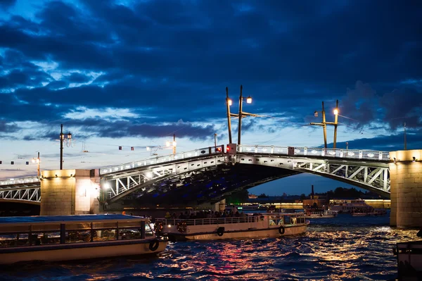 Cultivo de puentes 1196 . — Foto de Stock