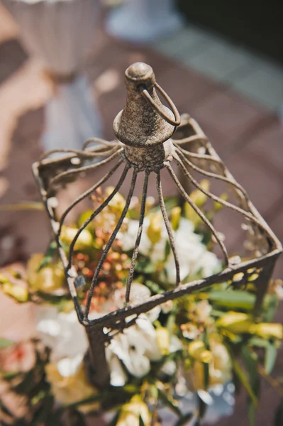 Lamp from flowers 1355. — Stock Photo, Image