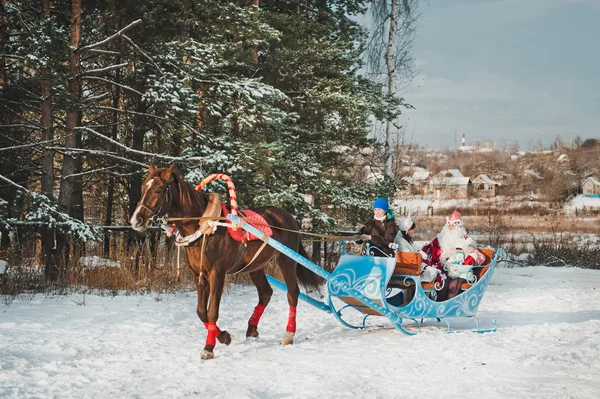 Father Frosts cavalo 1463 . — Fotografia de Stock