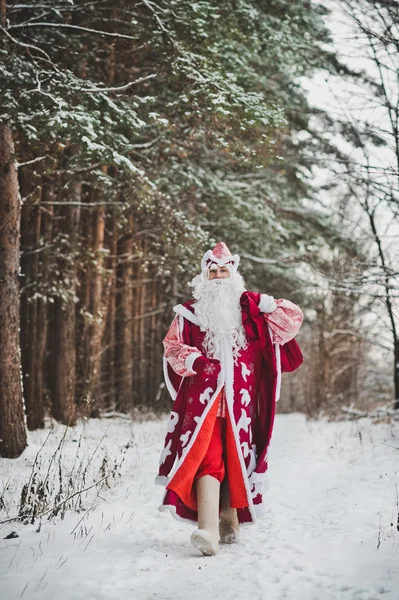 El padre Frost va al bosque 1473 . — Foto de Stock