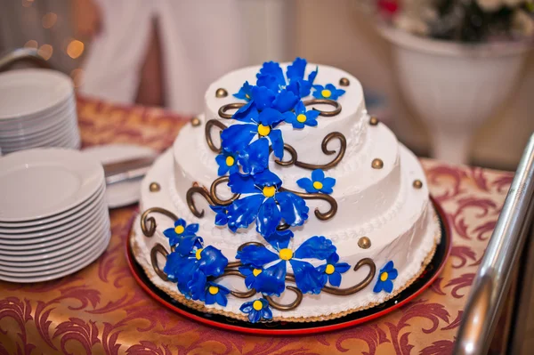 Festive pie with dark blue flowers 1590. — Stock Photo, Image