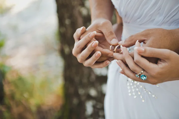 Mãos com anéis de casamento 1603 . — Fotografia de Stock