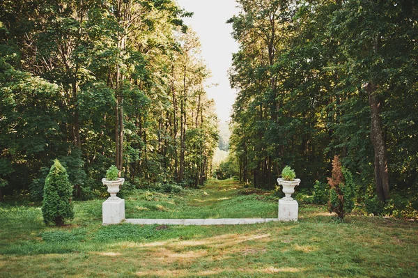 Park with vases 1673. — Stock Photo, Image