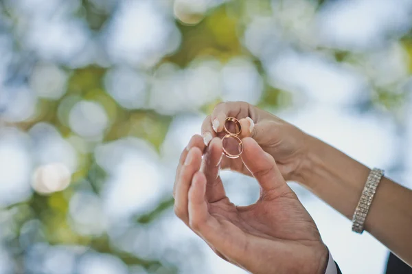 Hands with wedding rings 1696. — Stock Photo, Image