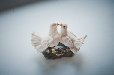 Güvercin 1779 rakamlar.