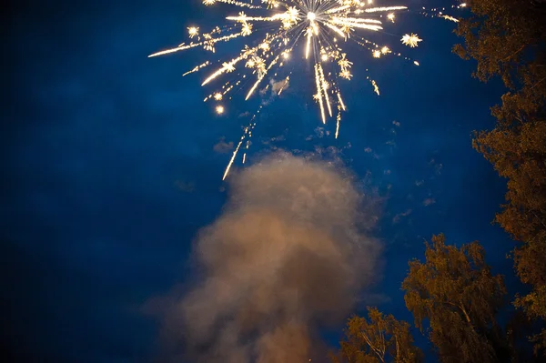 Photo de nuit de feux d'artifice sur le bois 1898 . — Photo