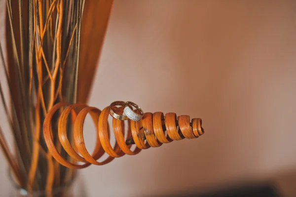 Кольца на деревянном конусе 2214 . — стоковое фото