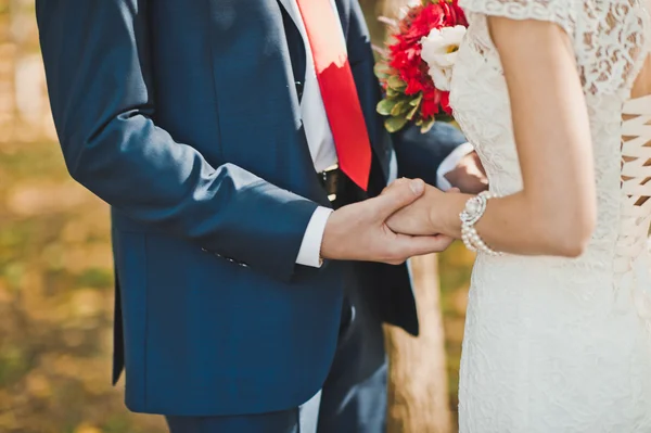 Nieuw getrouwde paar omarmt elkaar 2331. — Stockfoto