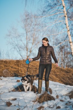 Bir kurşun 2553 köpek.