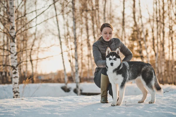 Mädchen und Hund der Rasse Husky 2549. — Stockfoto