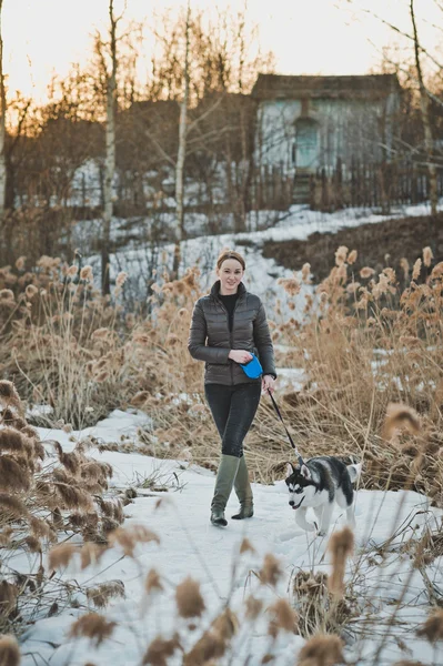 Der Hund geht in Stöcken 2562. — Stockfoto