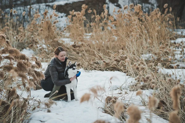 Winterrohre 2563. — Stockfoto