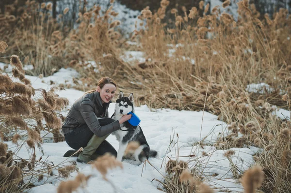 A menina e o cão em bastões 2564 . — Fotografia de Stock