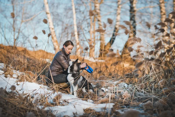 Caminar con el husky al aire libre 2568 . — Foto de Stock