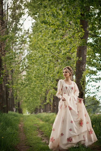 Caminhe em um caminho pedestre na floresta 2822 . — Fotografia de Stock