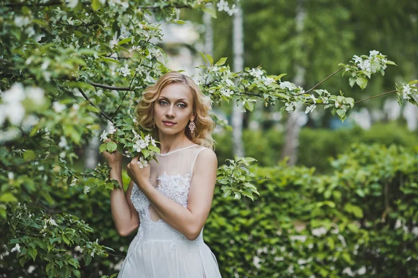 La muchacha hermosa en el vestido entre los árboles que florecen 3140 . — Foto de Stock