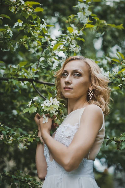 La belle fille dans une robe parmi les arbres en fleurs 3141 . — Photo