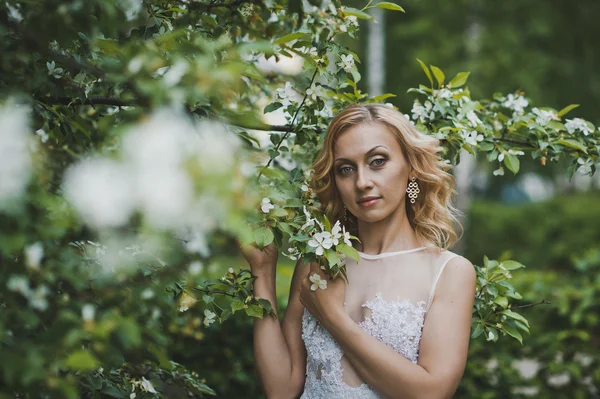 Den vackra flickan i en klänning bland blommande träd 3138. — Stockfoto