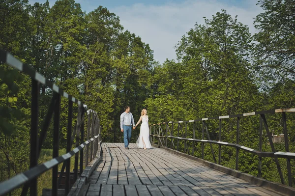 Caminhe na ponte 3163 . — Fotografia de Stock