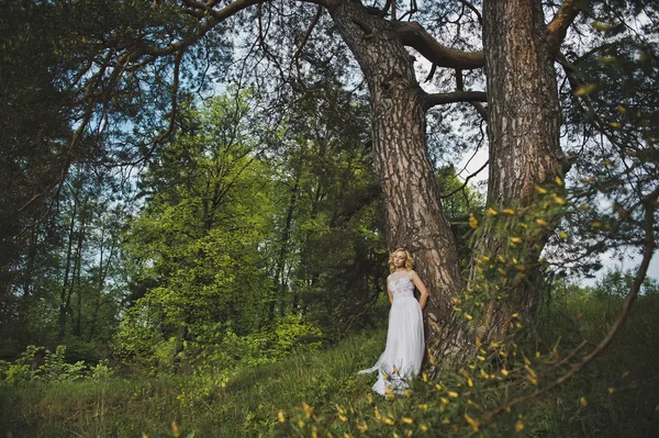 Молодая пара в лесу из-за дерева 3178 . — стоковое фото
