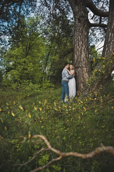 Pareja recién casada en el bosque sobre un árbol 3179 . — Foto de Stock