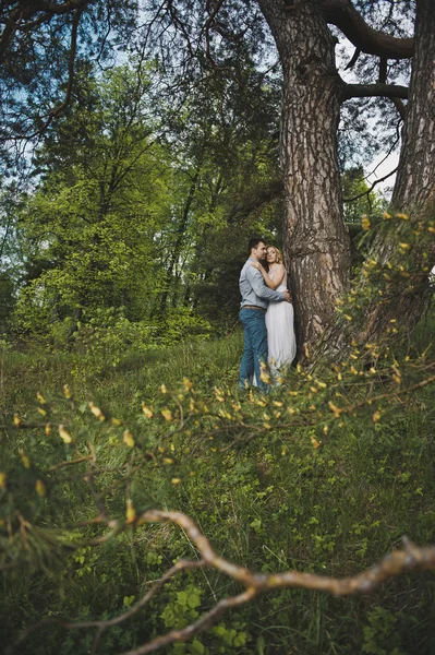 这对新婚夫妇在关于一棵树 3180 木材. — 图库照片