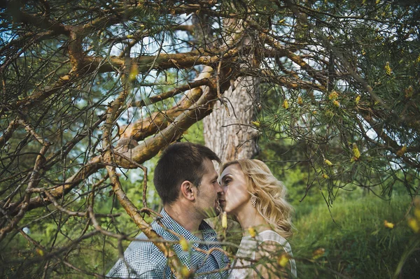 这对新婚夫妇在关于一棵树 3182 木材. — 图库照片