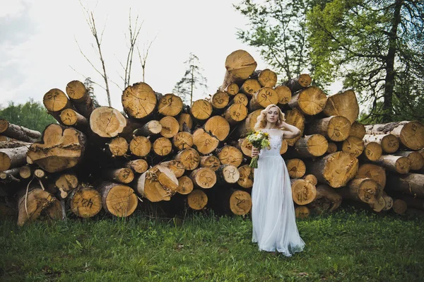 A menina em um belo vestido sobre logs 3199 . — Fotografia de Stock