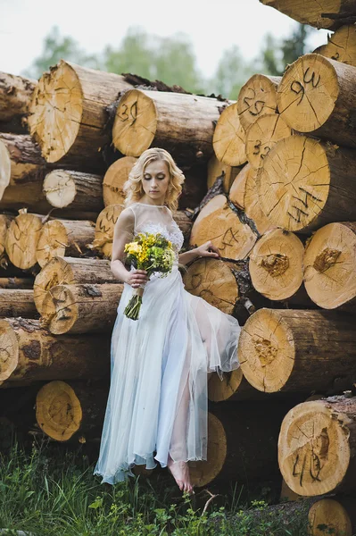 A menina em um vestido bonito sobre logs 3200 . — Fotografia de Stock