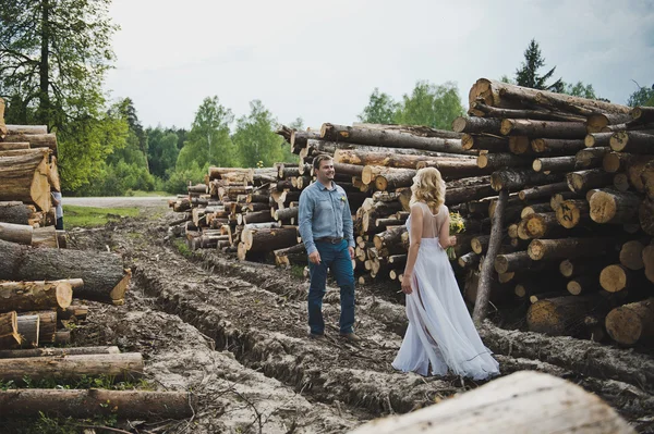 Les gens marchent parmi les troncs d'arbres 3220 . — Photo