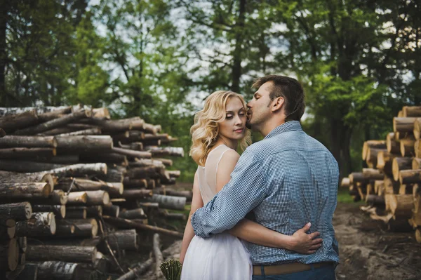 Le gars et la fille marchent parmi le bois de feu 3233 . — Photo