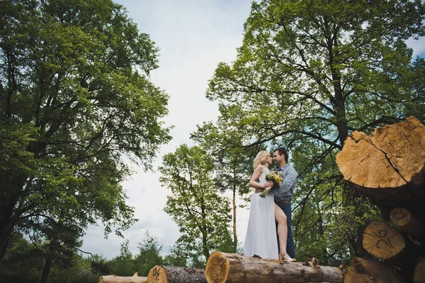 Caminhe entre logs 3214 . — Fotografia de Stock