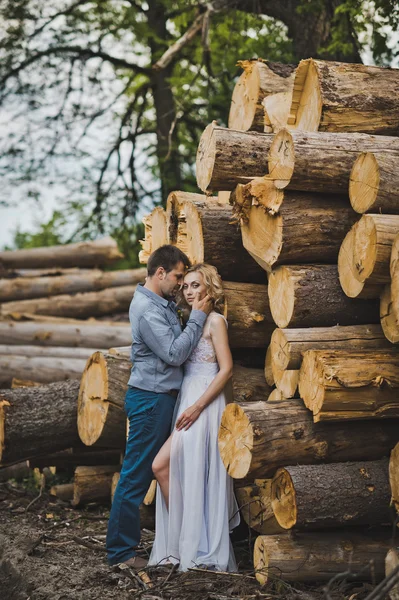 Paseo de una pareja recién casada sobre troncos 3237 . — Foto de Stock