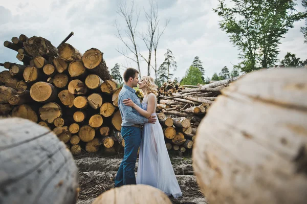 Caminhe entre logs 3216 . — Fotografia de Stock