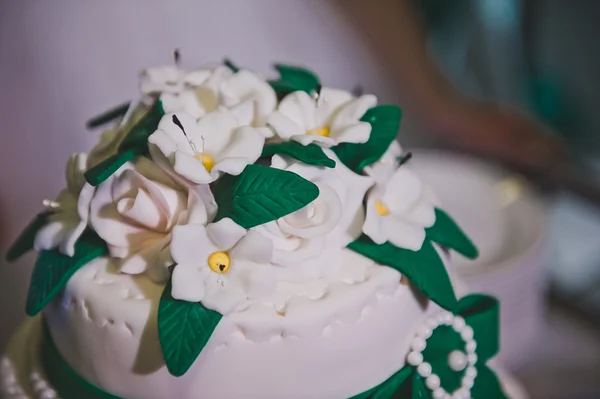 Tarta con arcos verdes 3307 . —  Fotos de Stock