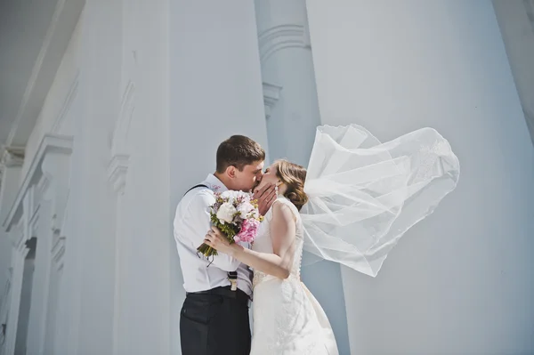 Newlyweds kissing at the Church 3884. — Stock Photo, Image