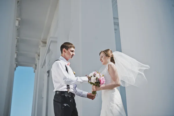 The groom hugging the bride with the white columns 3886. — Stock Photo, Image