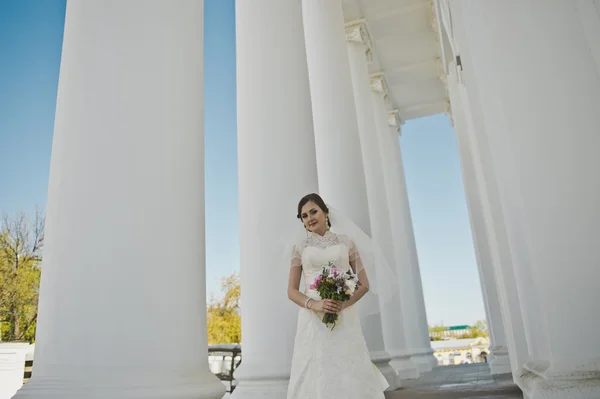 Sposa in colonne bianche 3915 . — Foto Stock