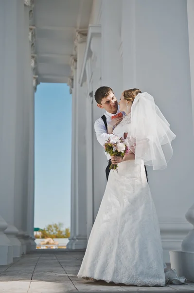 El novio abrazando a la novia con las columnas blancas 3895 . — Foto de Stock