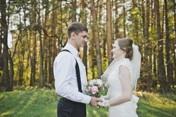 The loving glance of the newlyweds 3935. — Stock Photo, Image