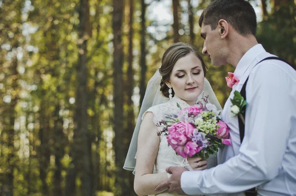 The tender embrace of the newlyweds in the woods 3948. — Stock Photo, Image