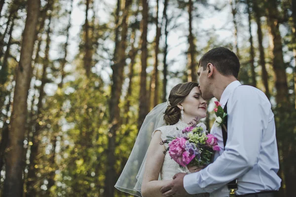 Il tenero abbraccio degli sposi nel bosco 3950 . — Foto Stock