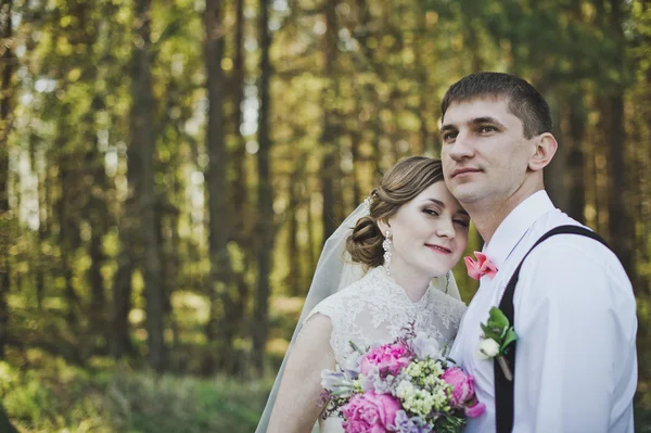 O terno abraço dos recém-casados na floresta 3953 . — Fotografia de Stock