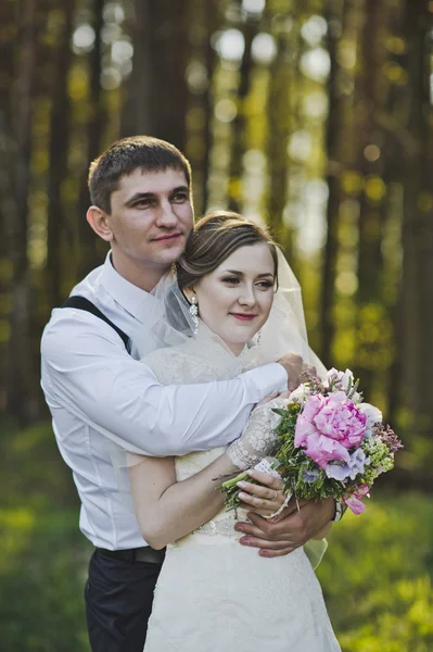 Recién casados abrazándose en el fondo del bosque 3964 . —  Fotos de Stock